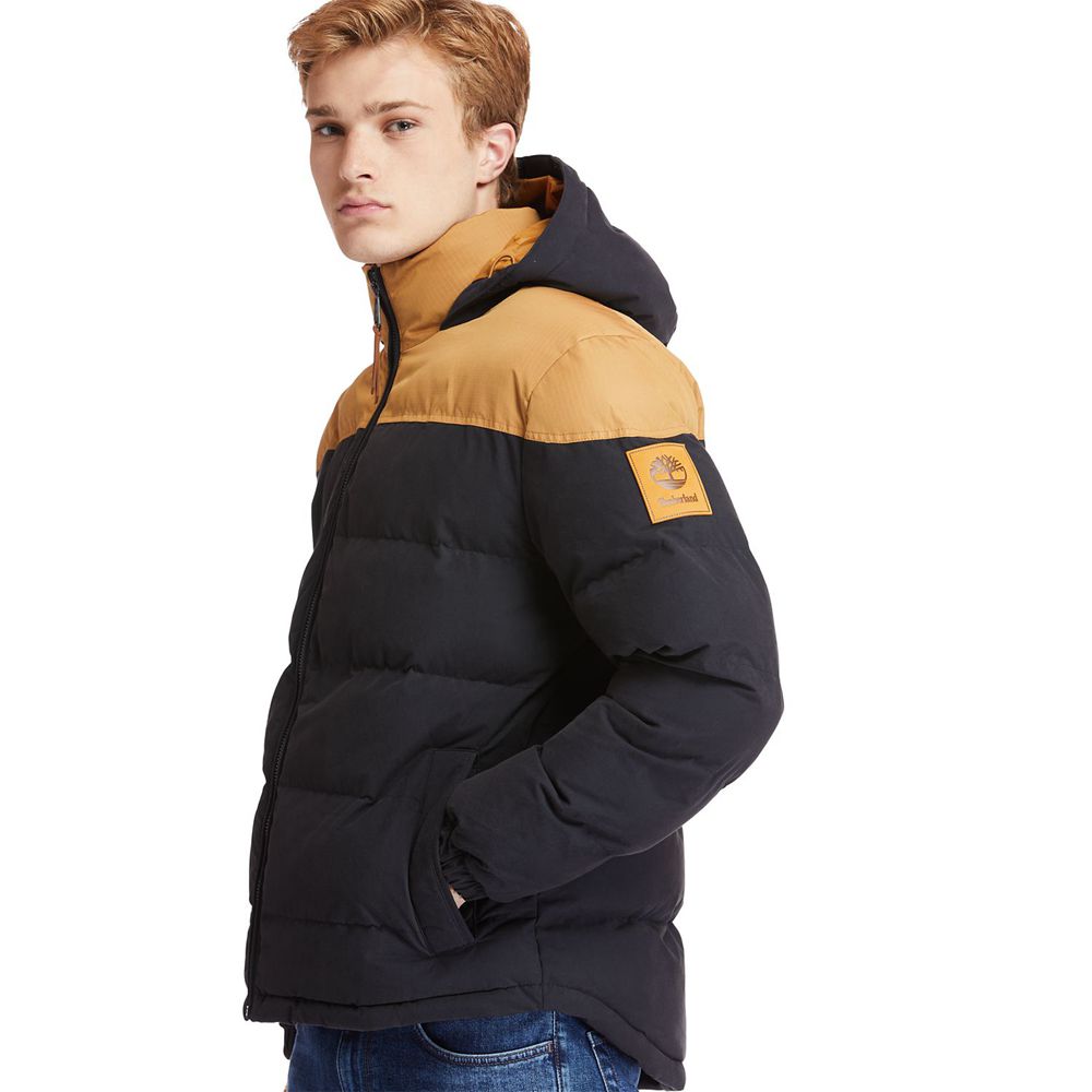 Chaquetas Timberland Argentina Hombre - Welch Mountain Warm Invierno - Marrones/Negras - SFLQDO-014